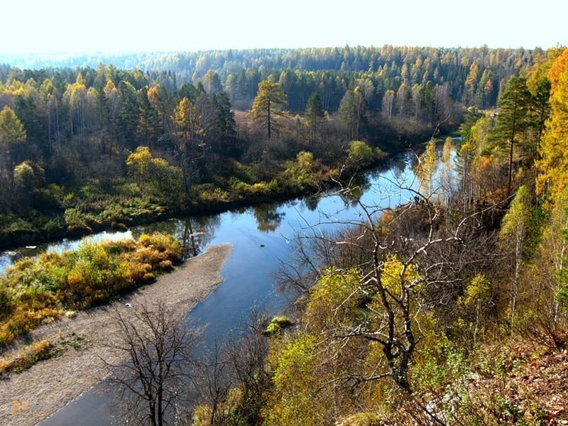 Природа Свердловской области