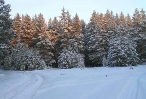 Тёплый Ключ