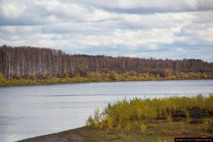 Моисеева