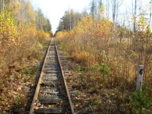 Плантация