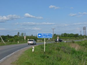 Бузина