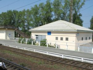 Гагарский