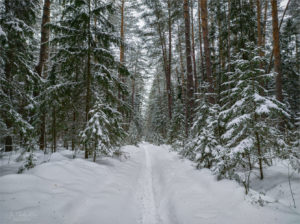Городище