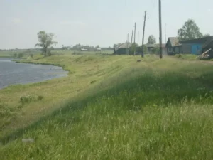 Кабакова
