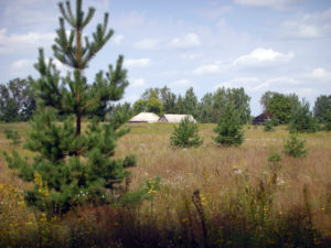 Липовка
