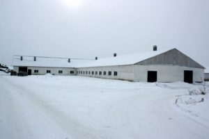 Пелевина