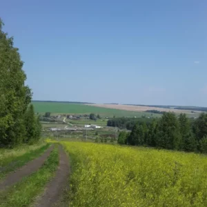Попово
