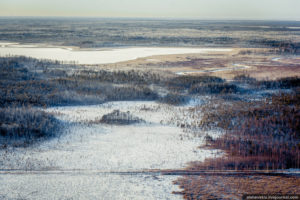 Поспелова