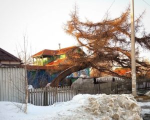 Поварня