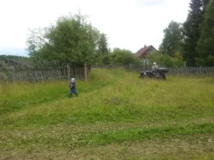 Рябчиково
