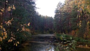 Рычкова