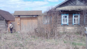 Соколята