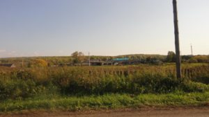Степина