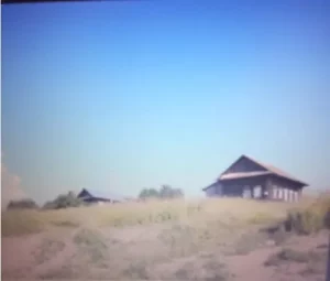 Волки
