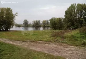 Голышева