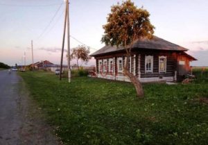 Коржавина