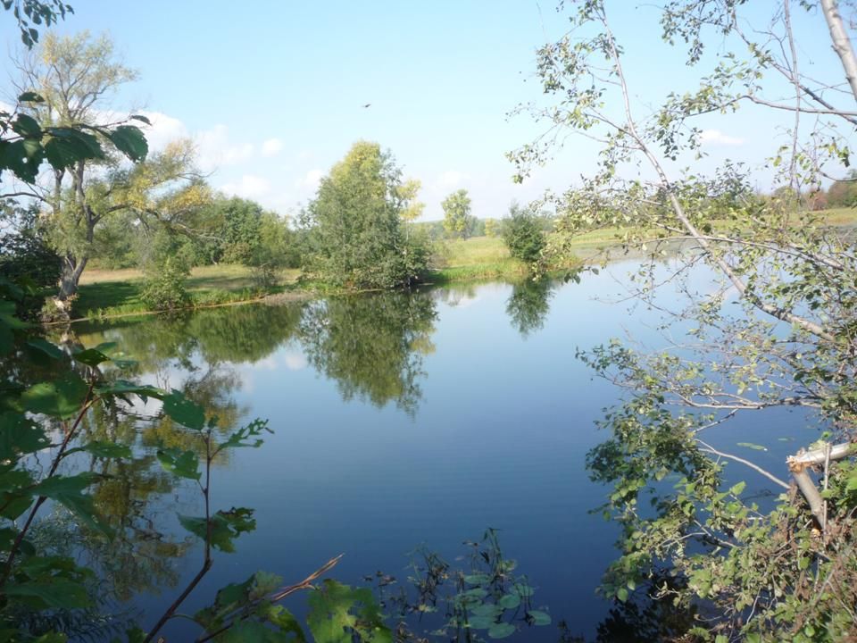 Криулино