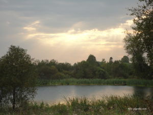 Лебяжье