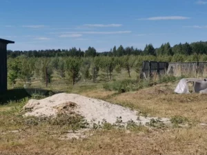 Мельничная