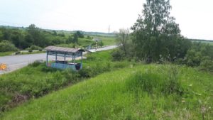 Мельникова