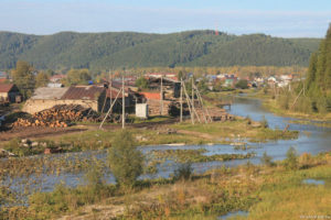 Сарана