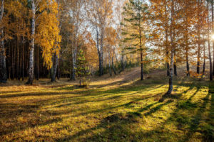 Александровская