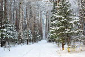Новосёлово
