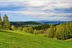 Ефимовская