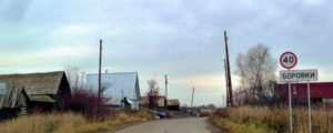 Боровки