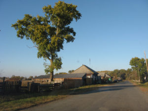 Горскино