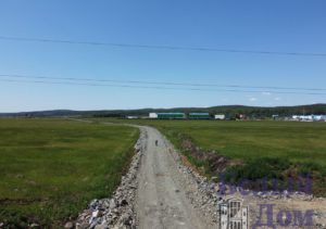 Полевой
