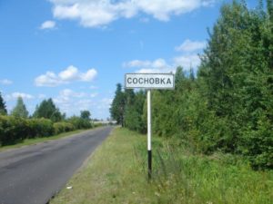 Сосновка