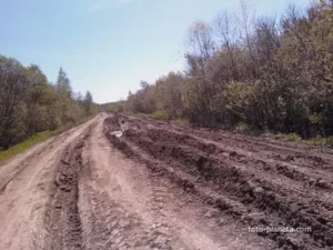 Чураки