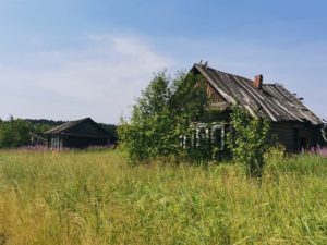Кедровка