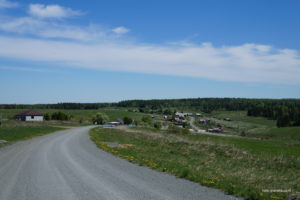 Пермяки