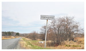 Полушина
