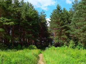 Пролетарка