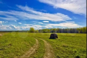Увельки