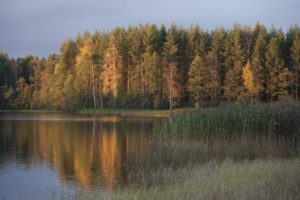 Жуковское