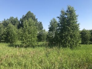 Утябаева