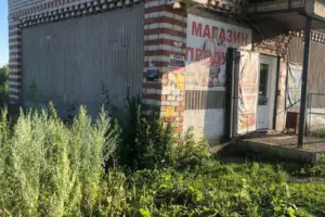 Абдырова