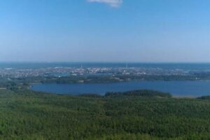 Камышевка