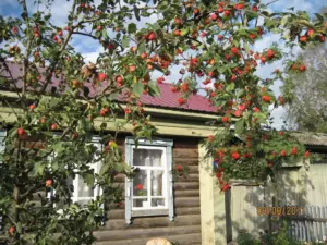 Казырова