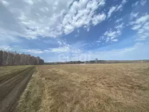 Медиак