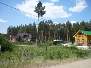 Увильды