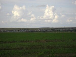 Амурский