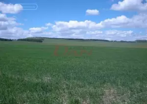 Самарский