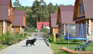 Аракуль