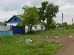 Березняки