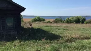 Гаево